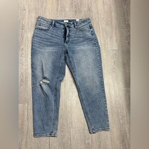 Time and Tru Women's High Rise Mom Jeans